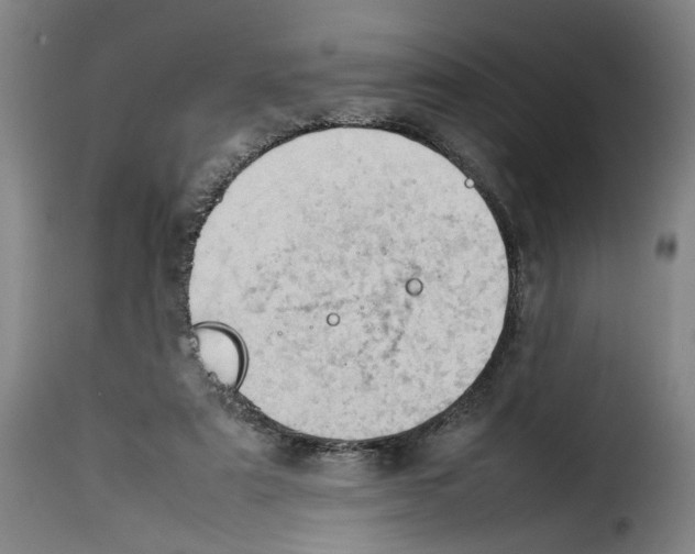 X0000114220307200911201052