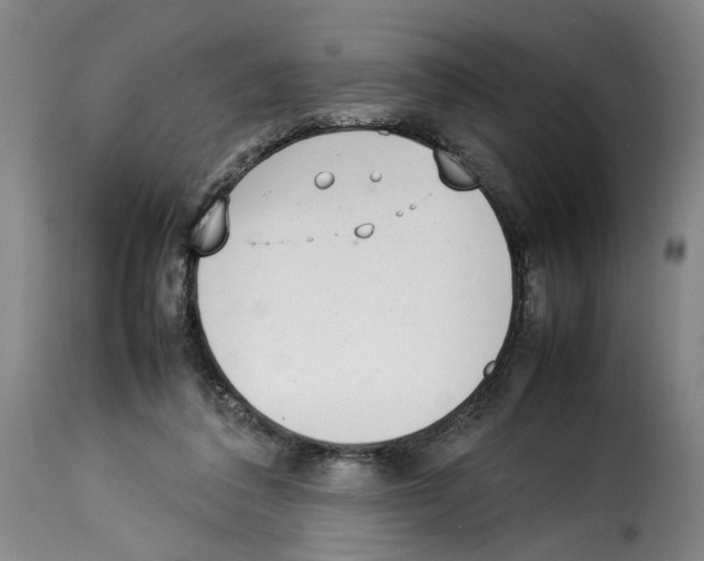 X0000114220308200911201052