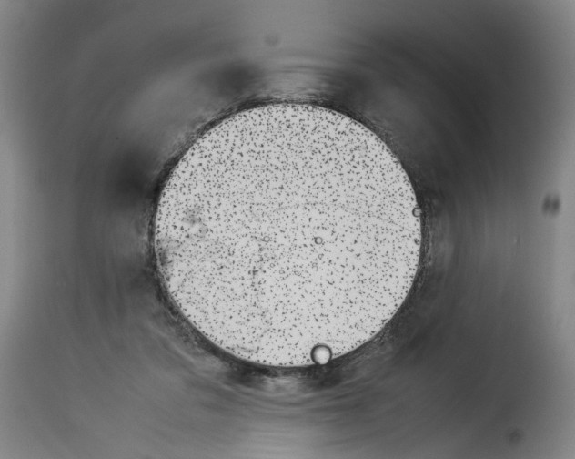 X0000114220309200911201052