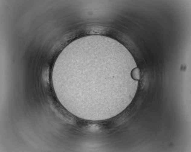 X0000114220310200911201052
