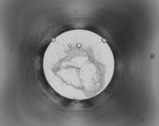X0000114220311200911201052