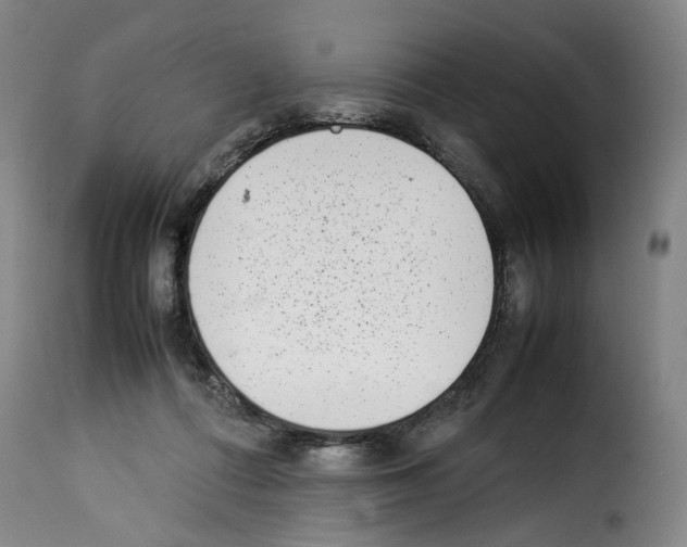 X0000114220312200911201052
