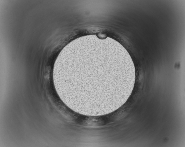 X0000114220315200911201052
