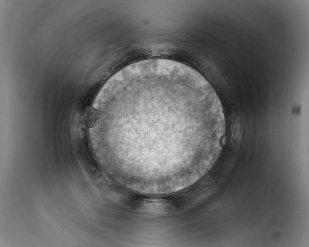 X0000114220316200911201052
