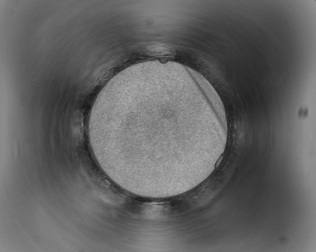 X0000114220320200911201052
