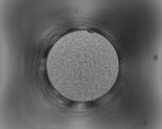 X0000114220325200911201052