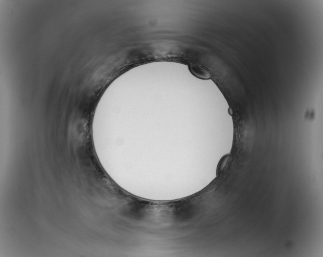 X0000114220327200911201052