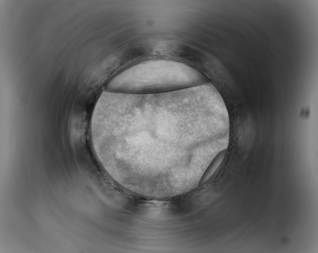 X0000114220328200911201052