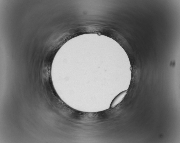 X0000114220329200911201052