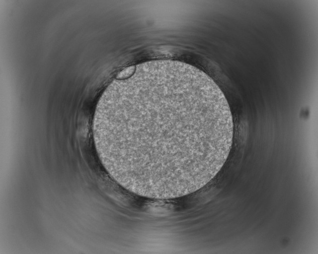 X0000114220331200911201052