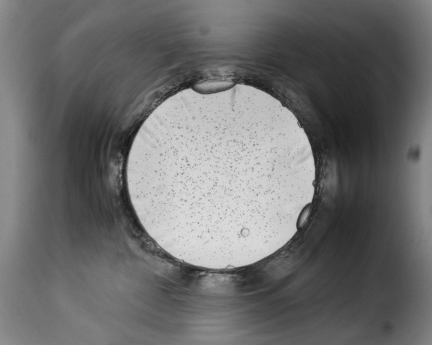 X0000114220332200911201052