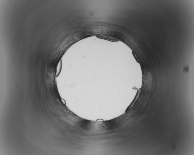 X0000114220333200911201052