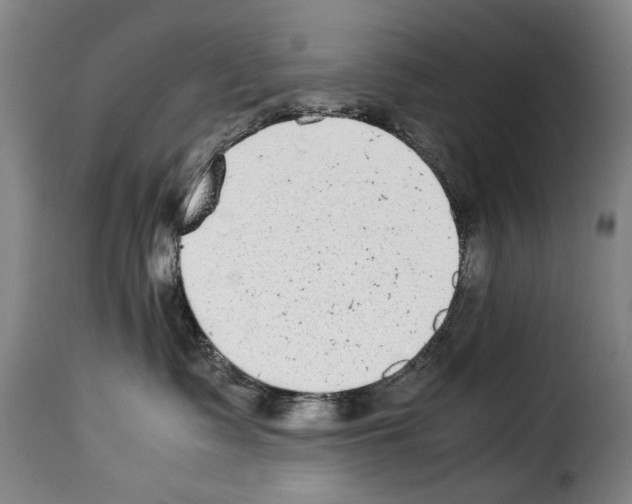 X0000114220335200911201052