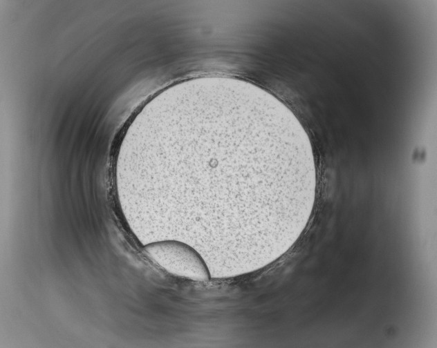 X0000114220338200911201051