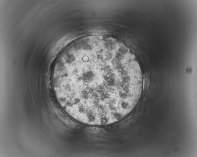 X0000114220339200911201051