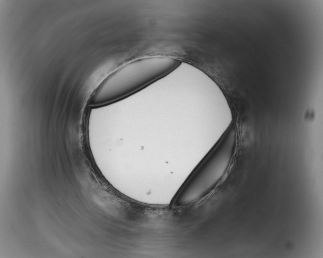 X0000114220340200911201051
