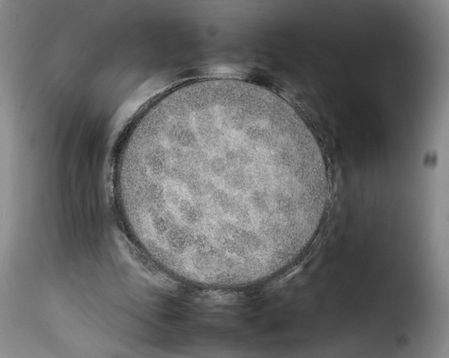 X0000114220343200911201051