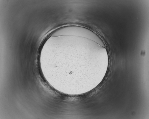 X0000114220344200911201051
