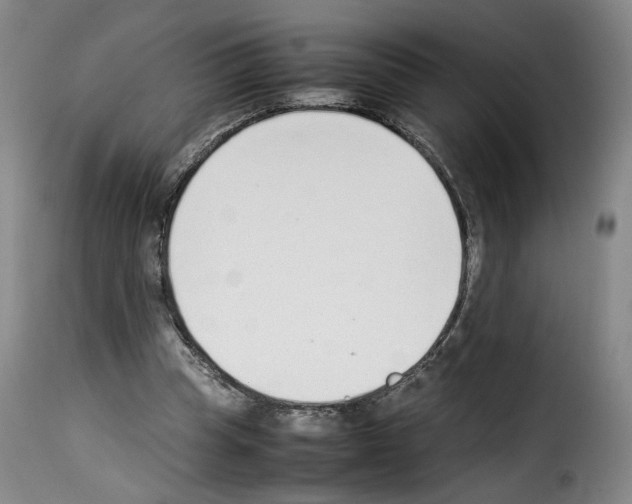 X0000114220345200911201051