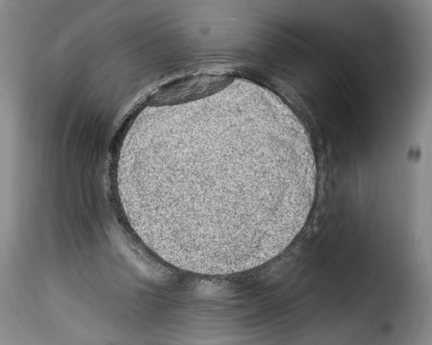 X0000114220346200911201051