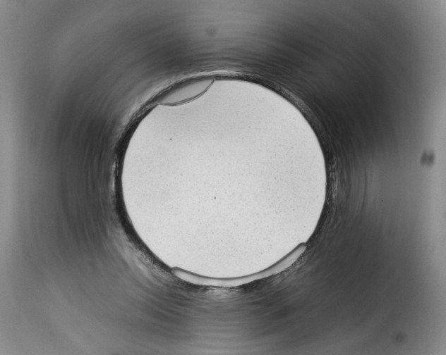 X0000114220350200911201051