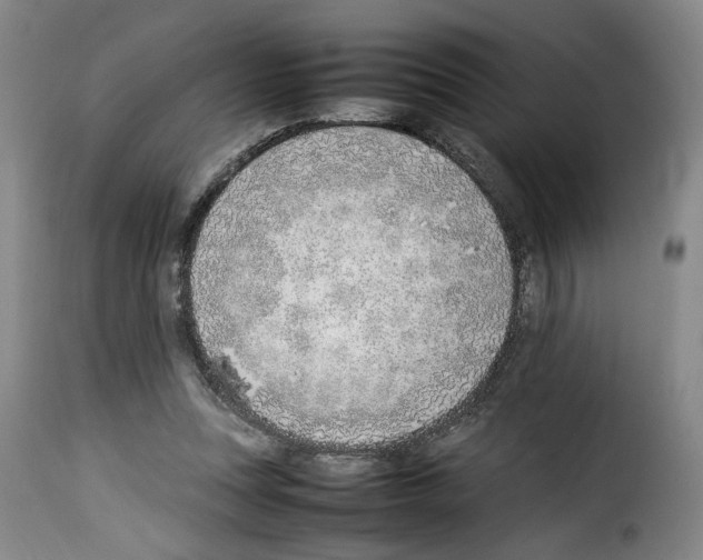 X0000114220351200911201051