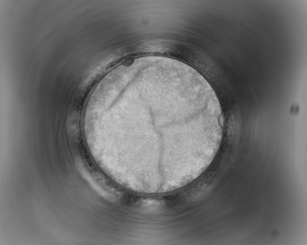 X0000114220352200911201051