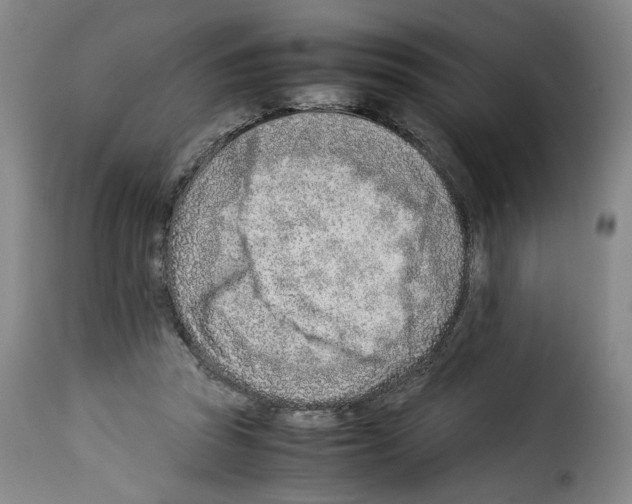 X0000114220353200911201051
