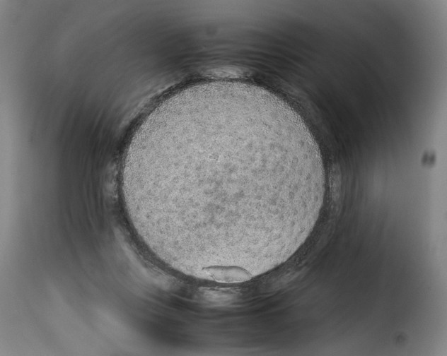 X0000114220359200911201051