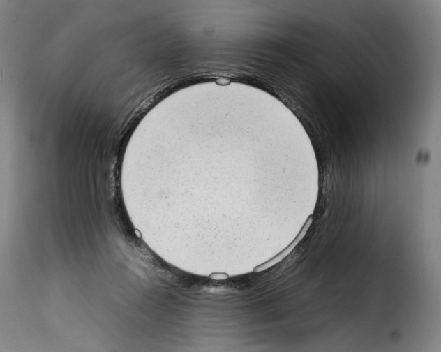 X0000114220360200911201051