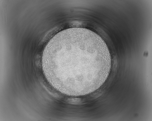 X0000114220361200911201051