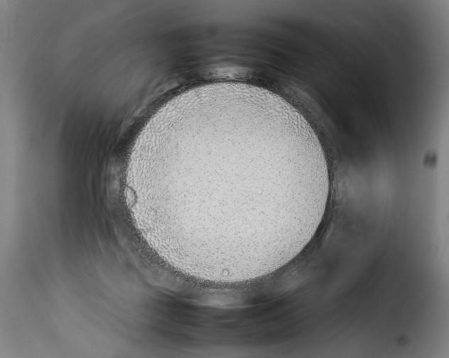 X0000114220363200911201051