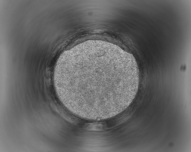 X0000114220366200911201051