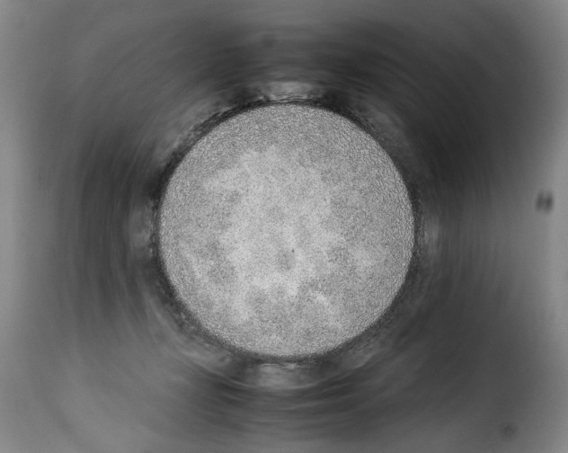 X0000114220367200911201051