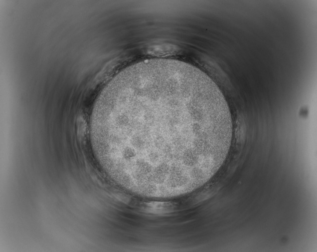 X0000114220371200911201052