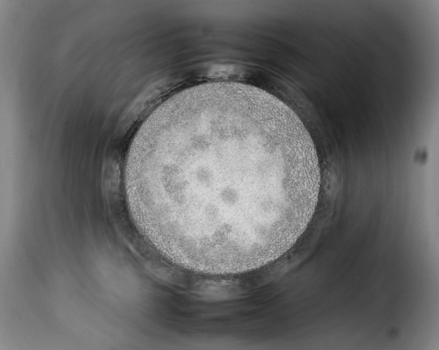 X0000114220375200911201052