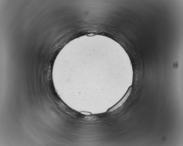 X0000114220376200911201052