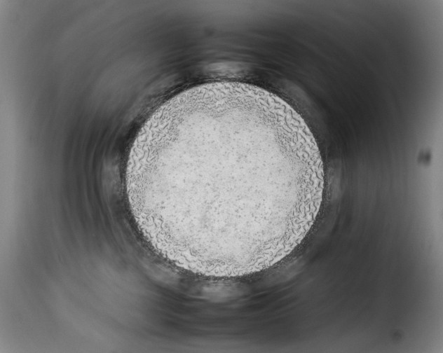 X0000114220377200911201052