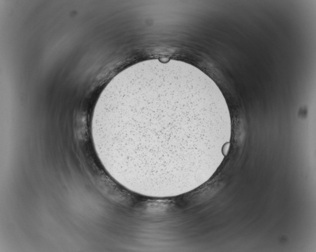 X0000114220378200911201052