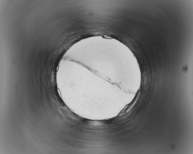 X0000114220380200911201052