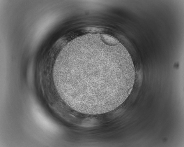 X0000114220381200911201052