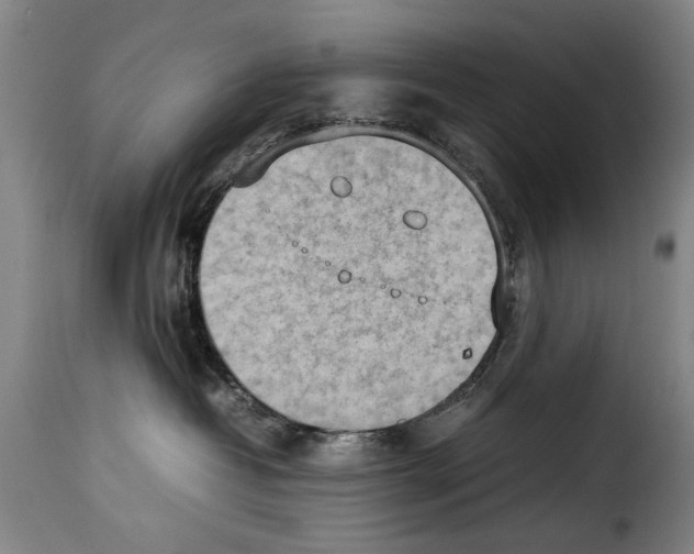 X0000114220382200911201052