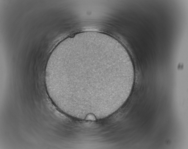X0000114220385200911201051