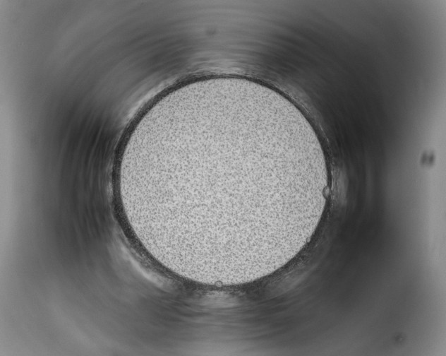 X0000114220390200911201051