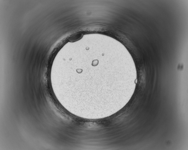 X0000114220392200911201051