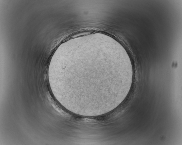 X0000114220393200911201051