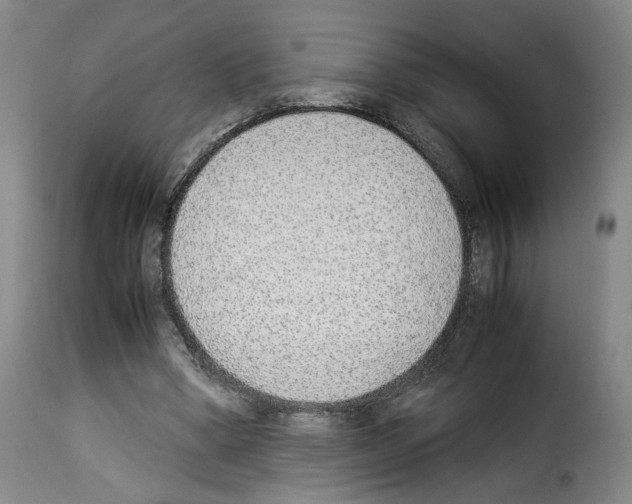 X0000114220394200911201051