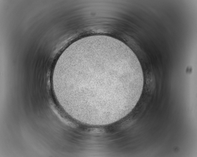 X0000114220398200911201051