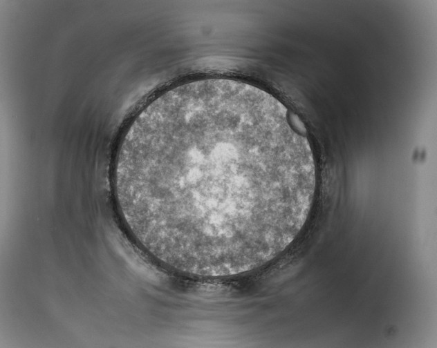 X0000114220399200911201051
