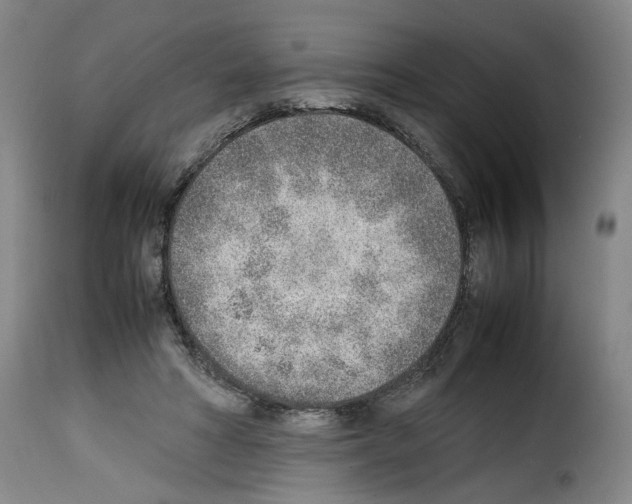X0000114220402200911201051
